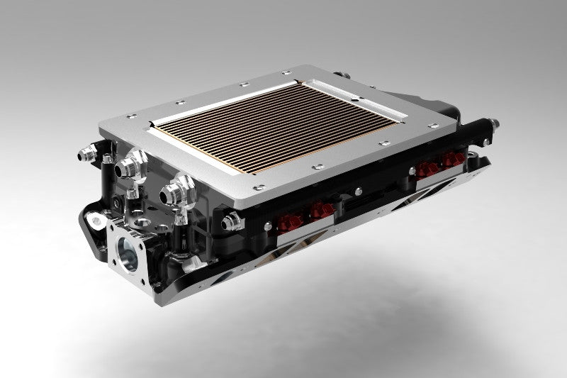 Port-Injected Big Block Manifold